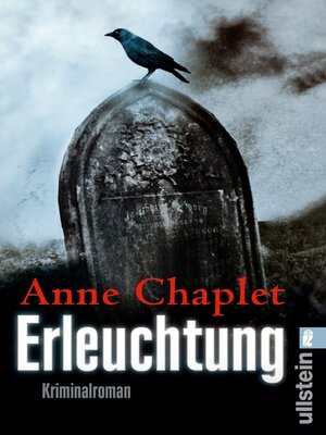 cover image of Erleuchtung